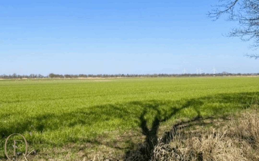 Control What You Can Control